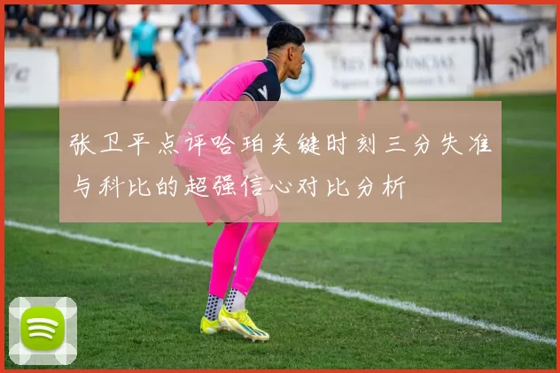 张卫平点评哈珀关键时刻三分失准与科比的超强信心对比分析